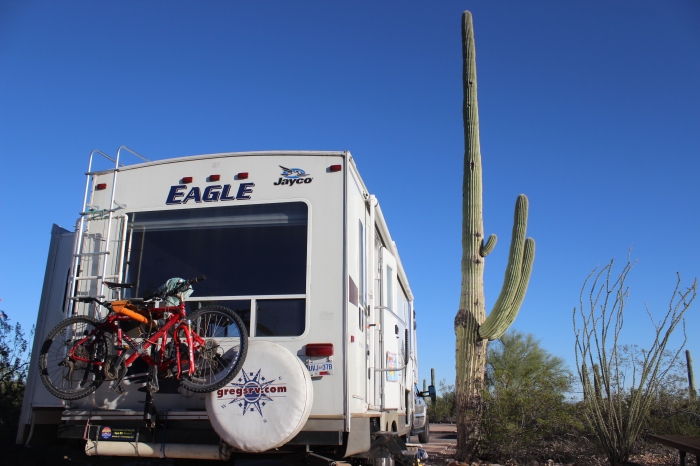 Organ Pipe National Monument Campground